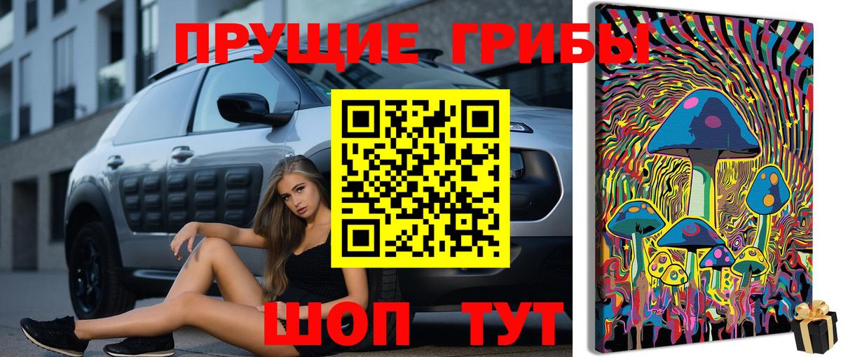Галлюциногенные грибы прущие грибы Кирово-Чепецк